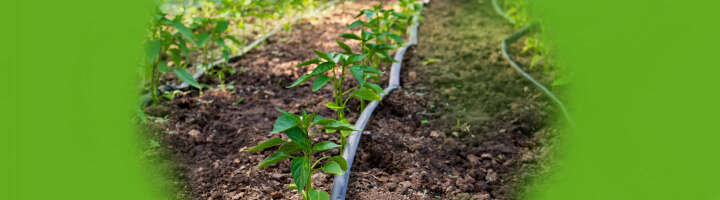 tropfschlauch kategorieeinstiegsbanner